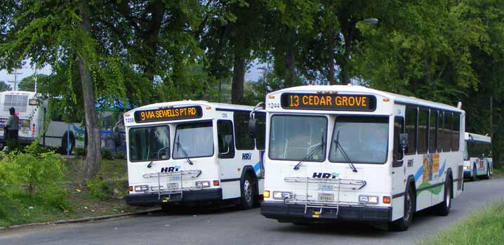 Hampton Roads Transit Gillig Phantoms 1258 and 1244